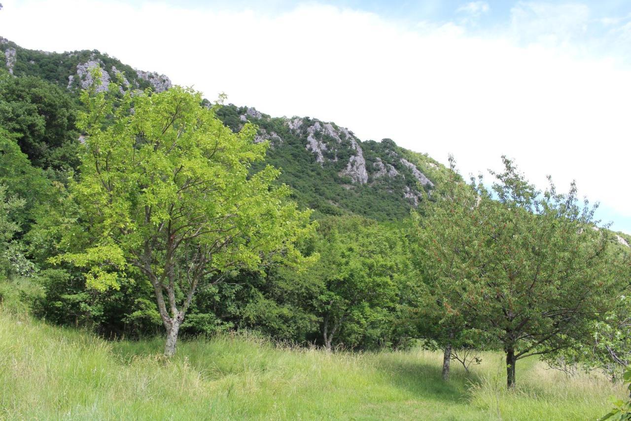 Villa Nona Tamara With Astonishing Sea & Mountains View Bribir  Esterno foto